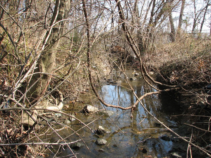 Field photo showing stream conditions at site GWYN-102-R-2007-1