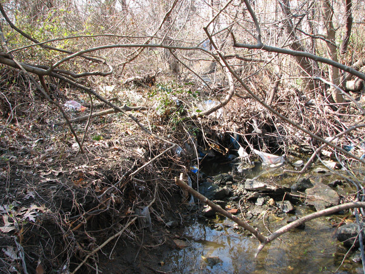 Field photo showing stream conditions at site GWYN-102-R-2007-2