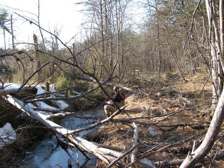 Field photo showing stream conditions at site GWYN-102-S-2010-2