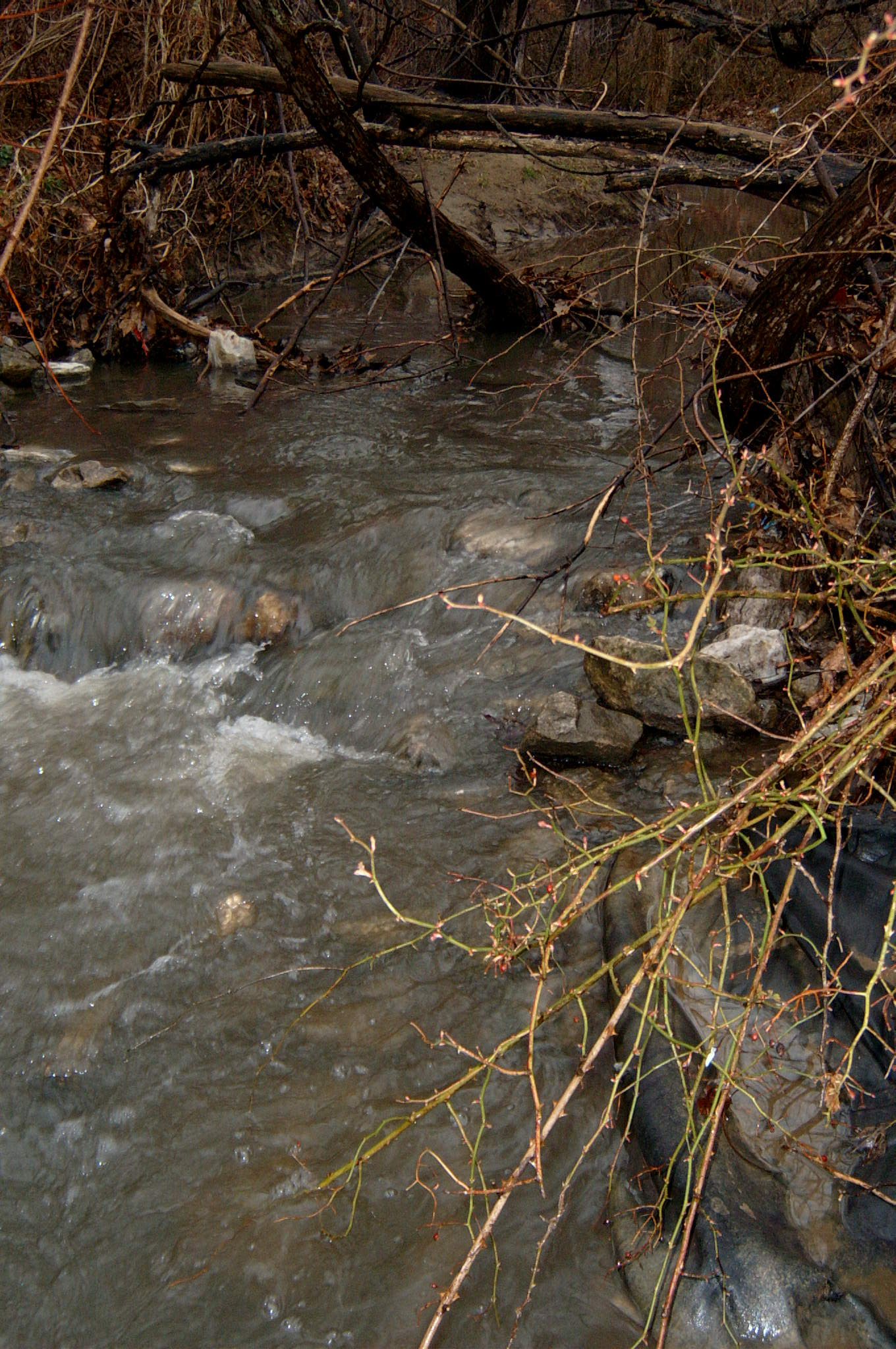 Field photo showing stream conditions at site GWYN-104-R-2004-104