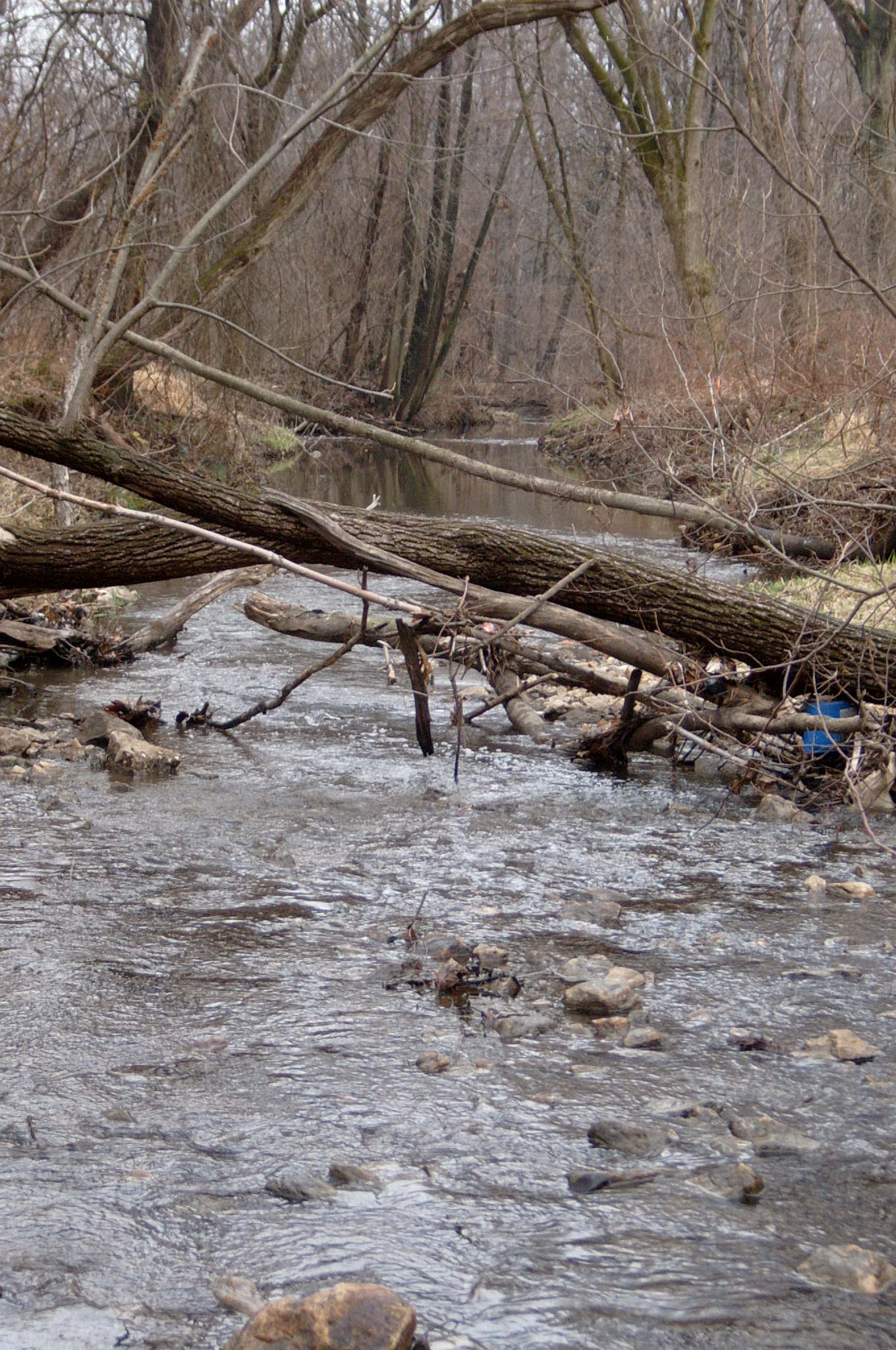 Field photo showing stream conditions at site GWYN-107-R-2004-113