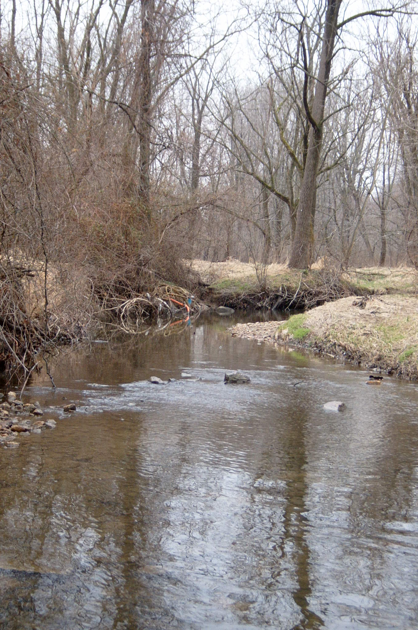 Field photo showing stream conditions at site GWYN-107-R-2004-114