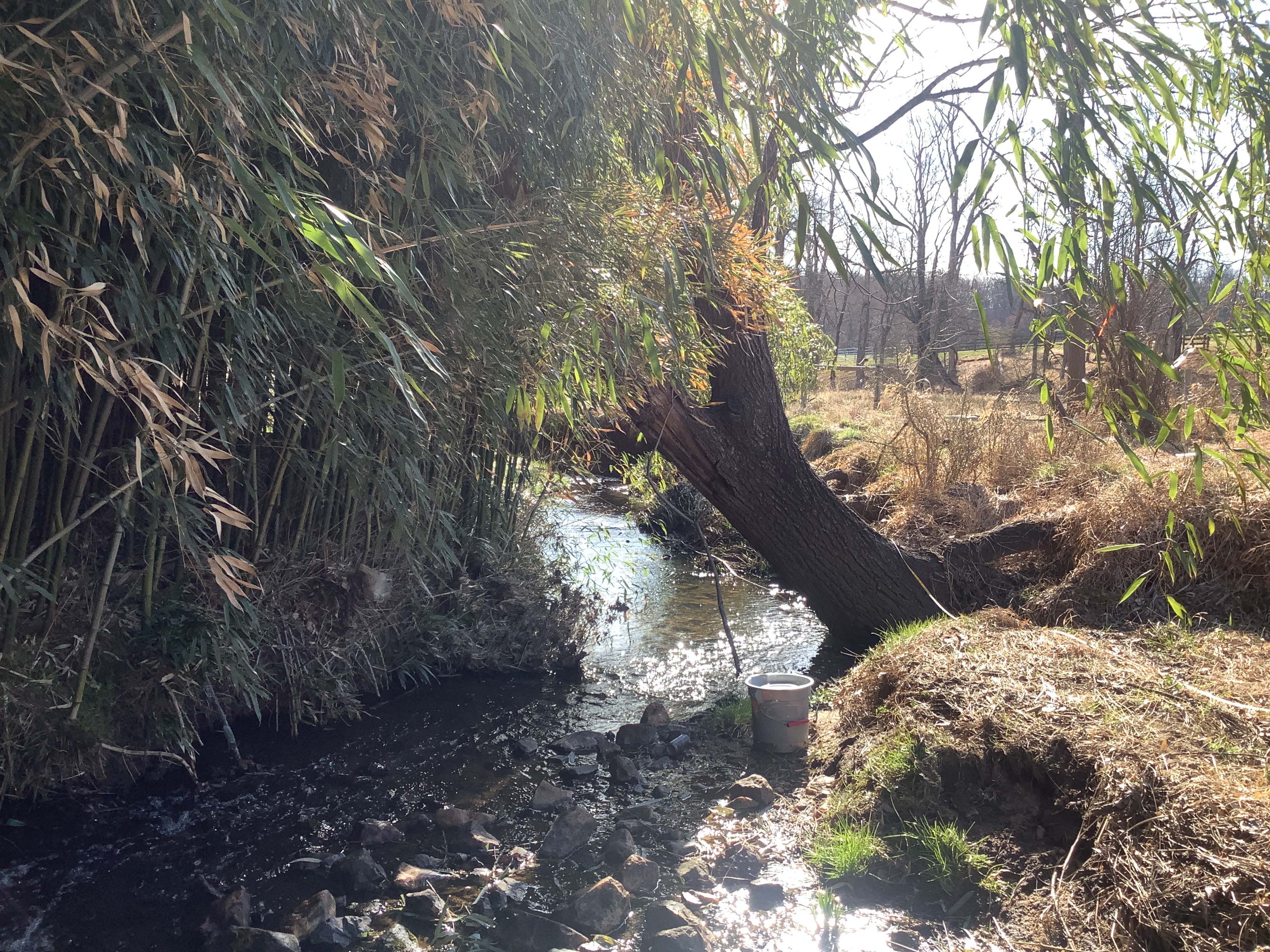 Field photo showing stream conditions at site GWYN-120-R-2023_Midpoint_facing_downstream