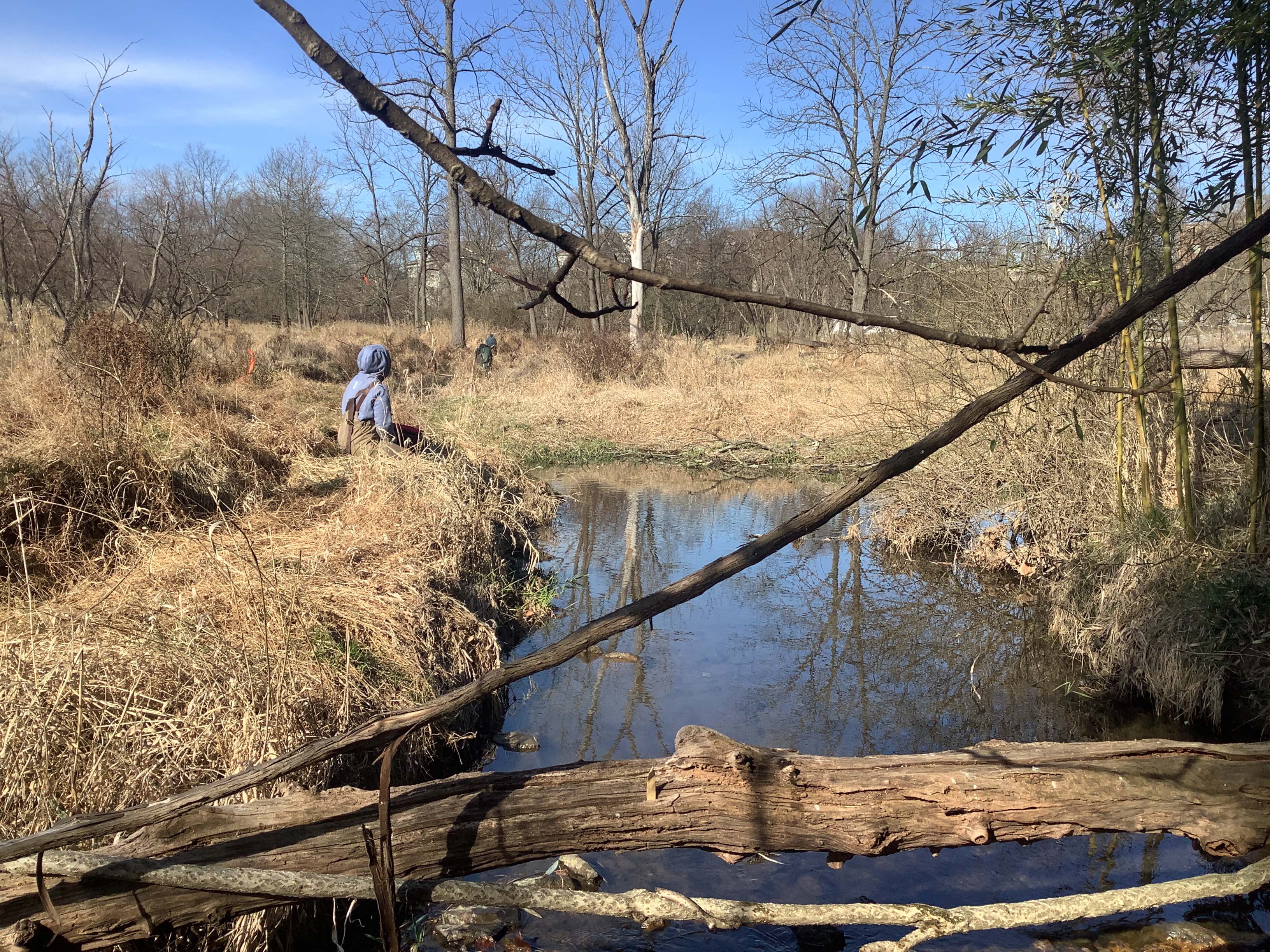 Field photo showing stream conditions at site GWYN-120-R-2023_Midpoint_facing_upstream