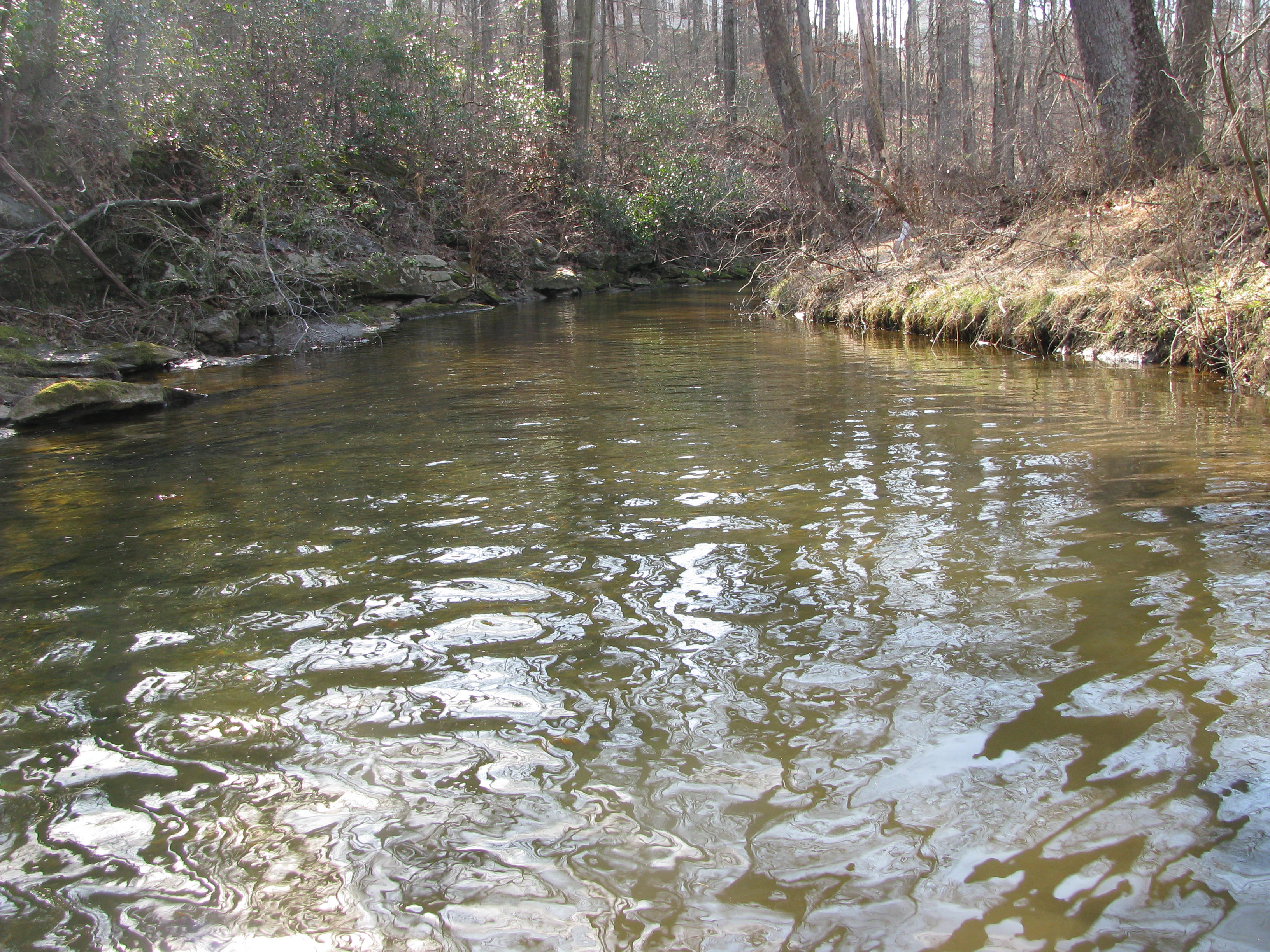 Field photo showing stream conditions at site GWYN-204-A-2012-1