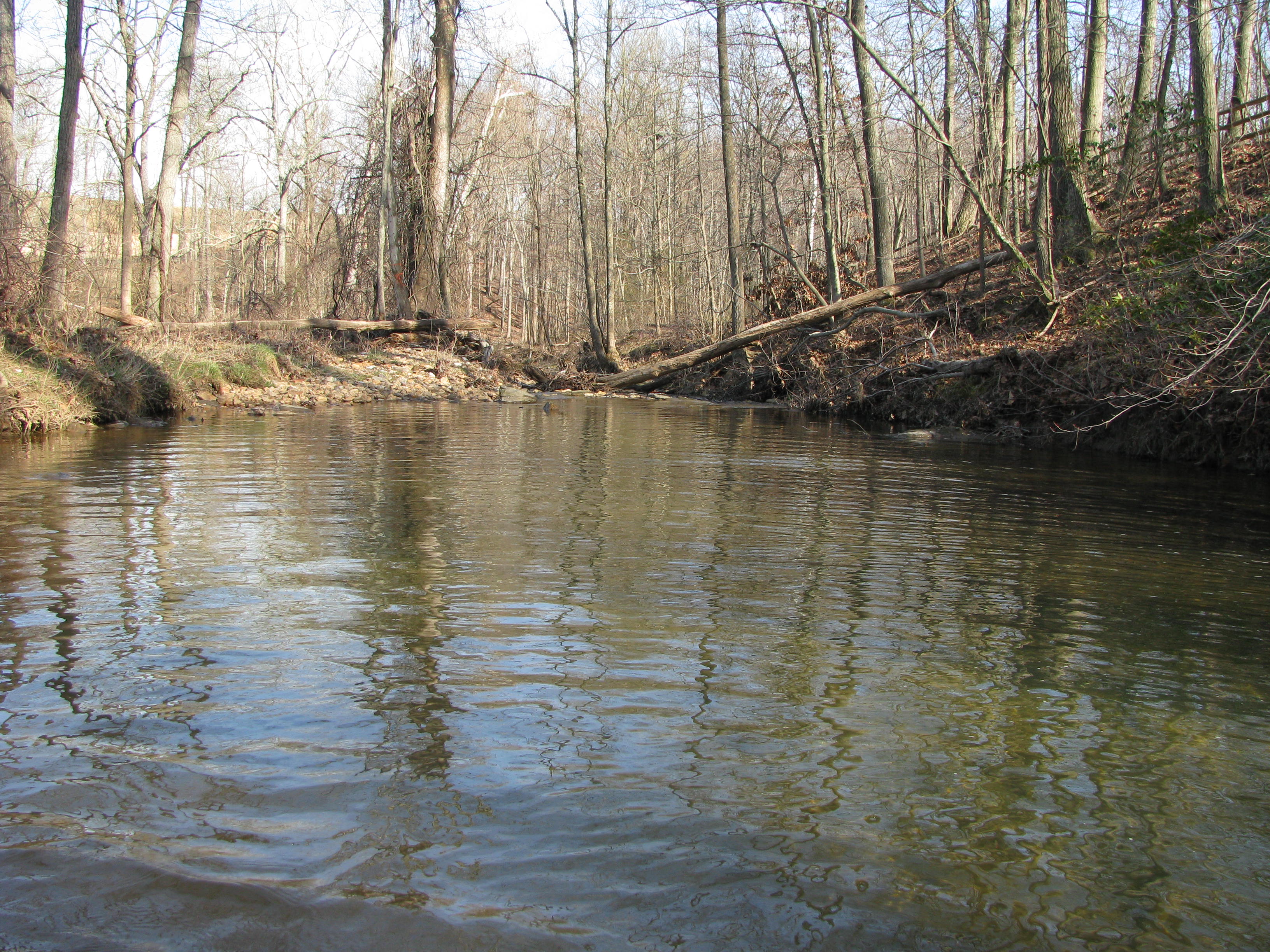 Field photo showing stream conditions at site GWYN-204-A-2012-2