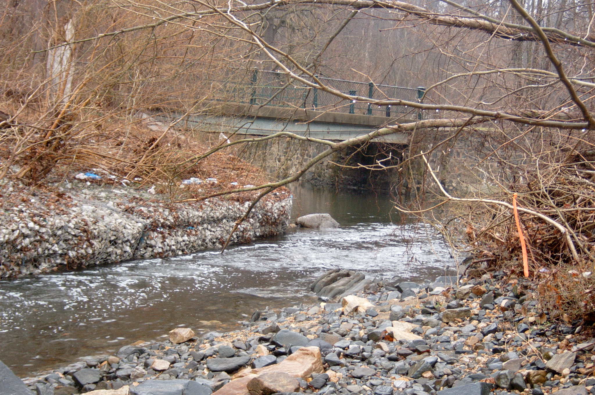 Field photo showing stream conditions at site GWYN-210-R-2004-101