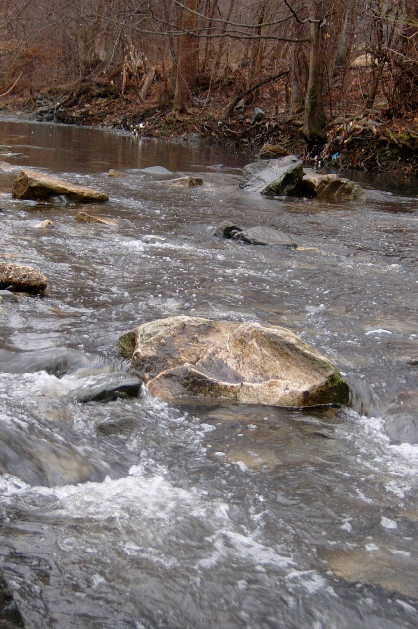 Field photo showing stream conditions at site GWYN-210-R-2004-102