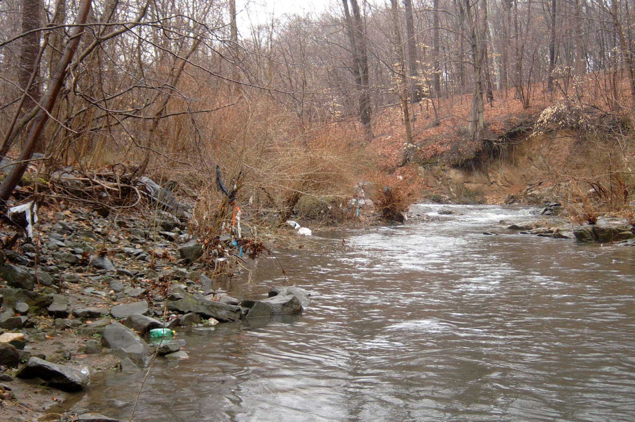 Field photo showing stream conditions at site GWYN-211-R-2004-103