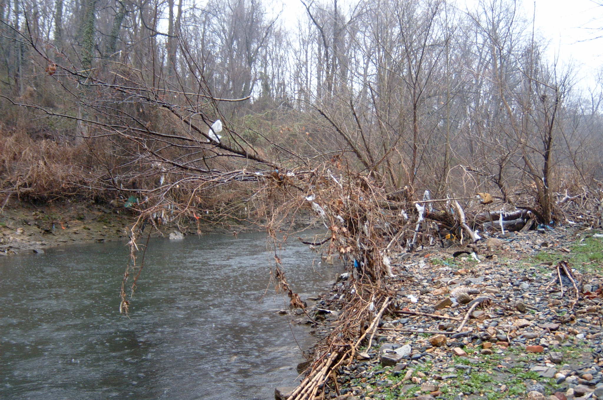 Field photo showing stream conditions at site GWYN-301-R-2004-98