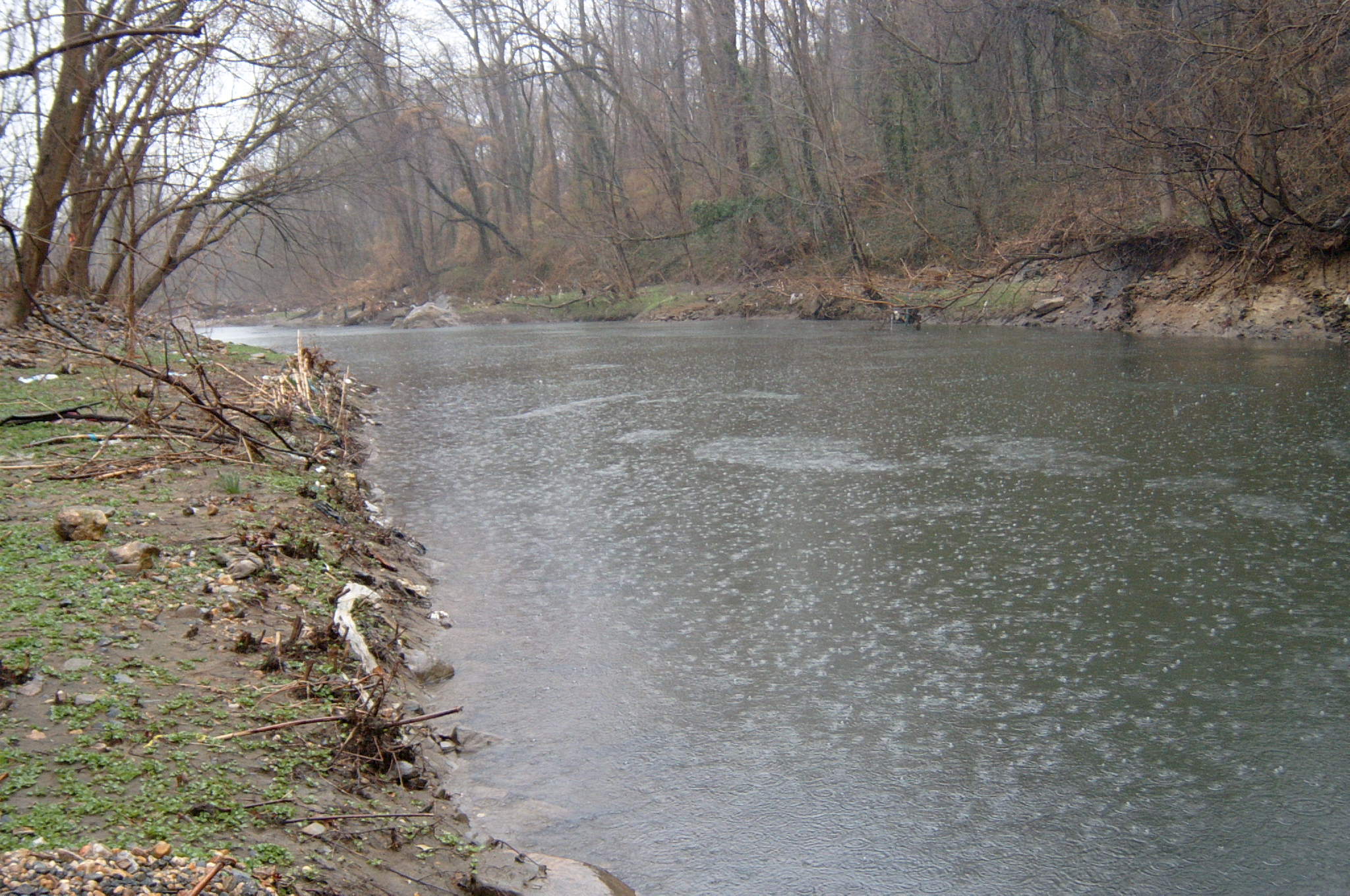 Field photo showing stream conditions at site GWYN-301-R-2004-99