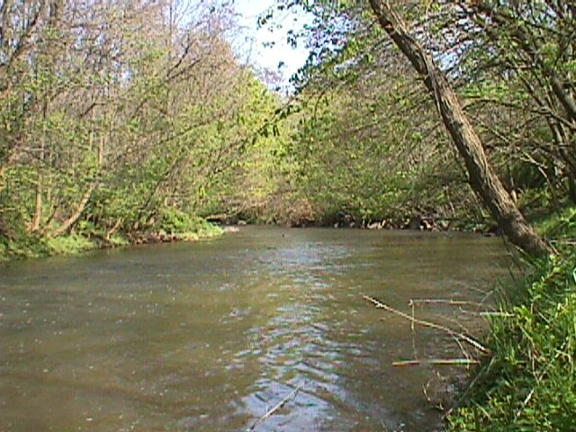 Field photo showing stream conditions at site GWYN-301-X-2000-15_05