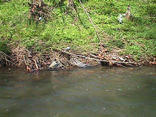 Field photo showing stream conditions at site GWYN-301-X-2000-15_06