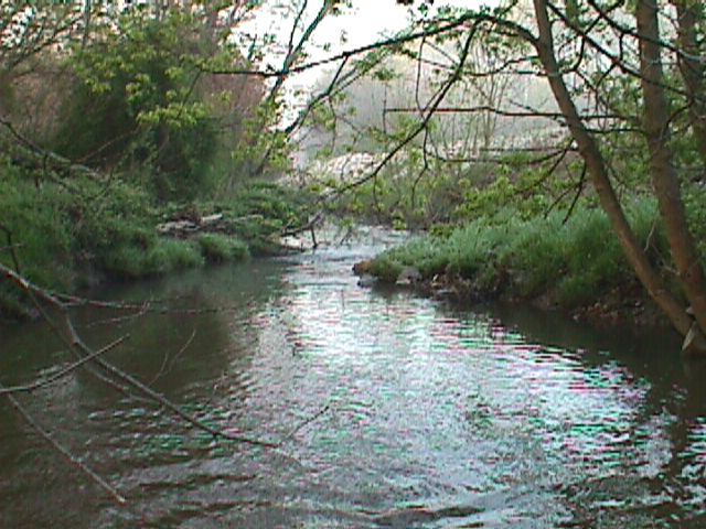 Field photo showing stream conditions at site GWYN-302-X-2000-15_07