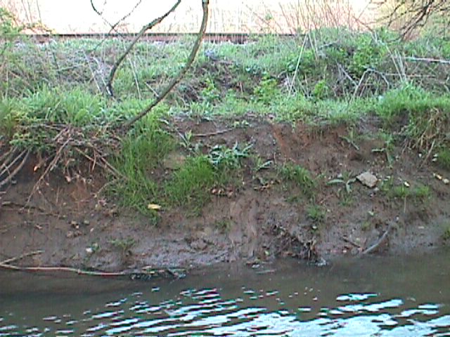 Field photo showing stream conditions at site GWYN-302-X-2000-15_08