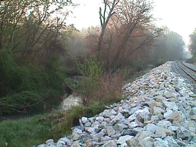 Field photo showing stream conditions at site GWYN-302-X-2000-15_09