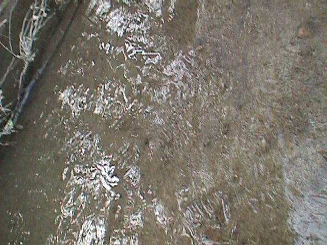 Field photo showing stream conditions at site GWYN-302-X-2000-15_10