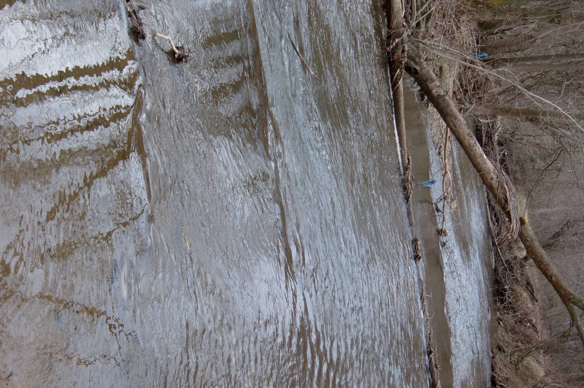 Field photo showing stream conditions at site GWYN-303-R-2004-118