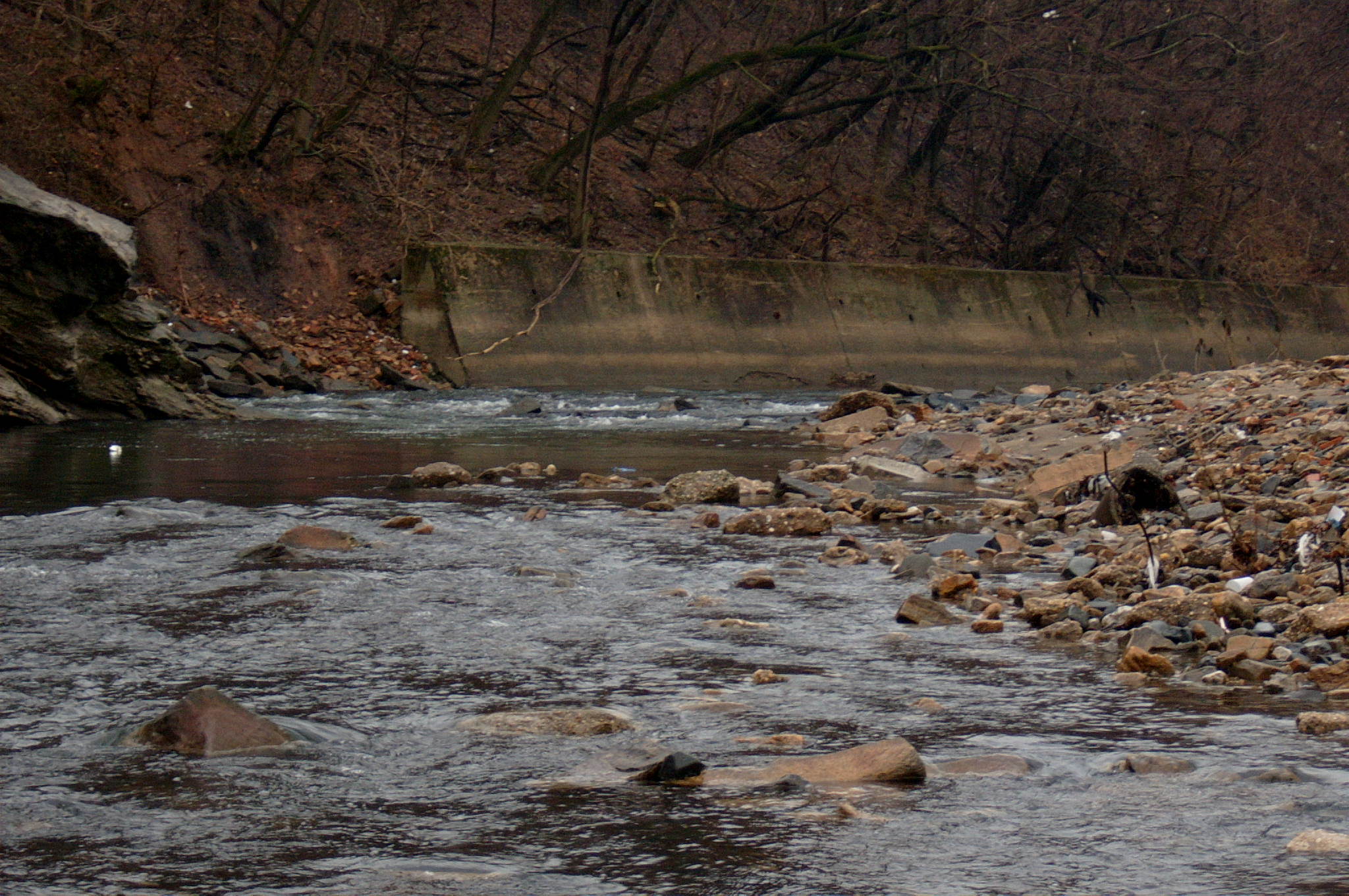 Field photo showing stream conditions at site GWYN-306-R-2004-96