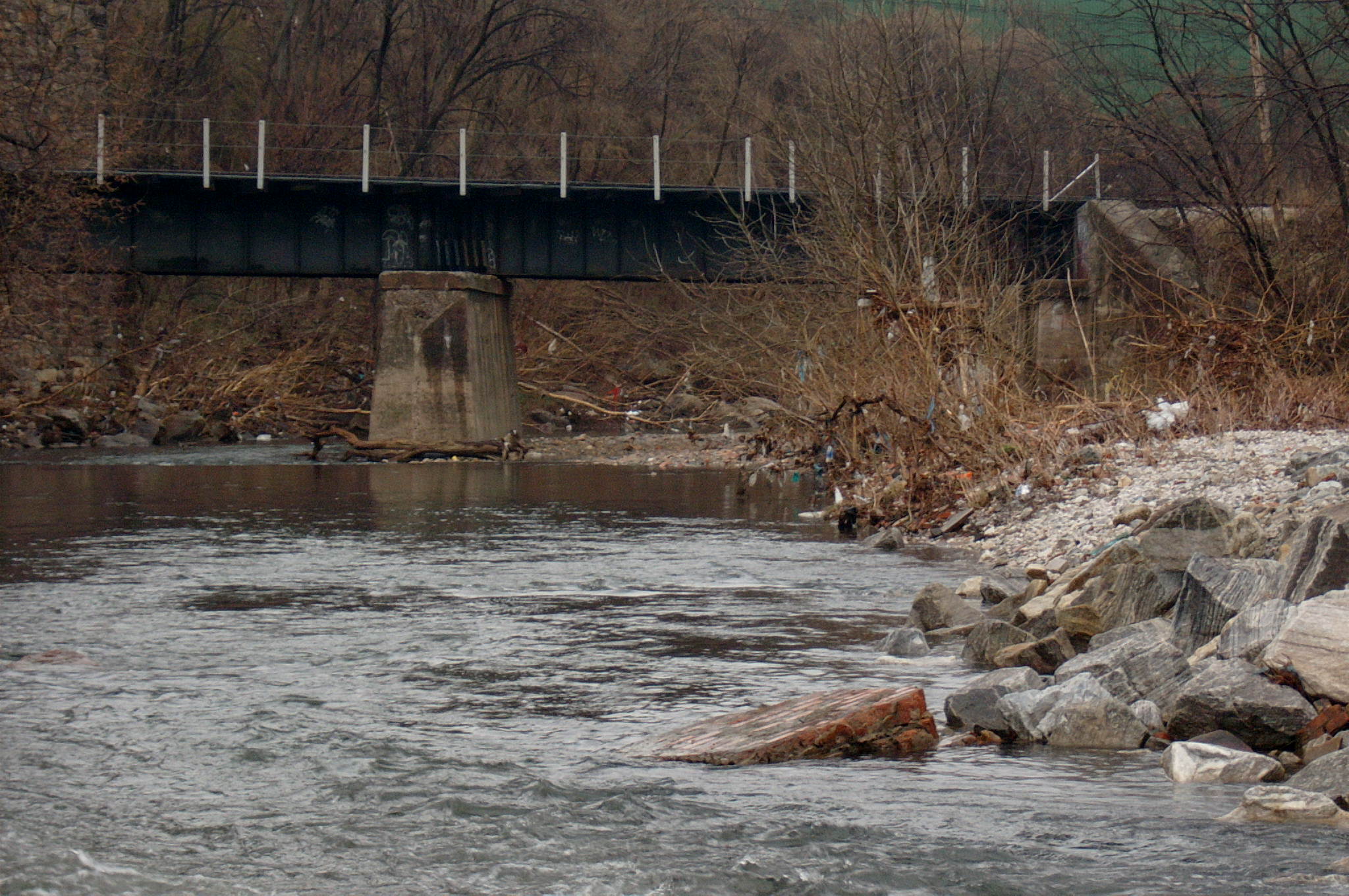 Field photo showing stream conditions at site GWYN-306-R-2004-97