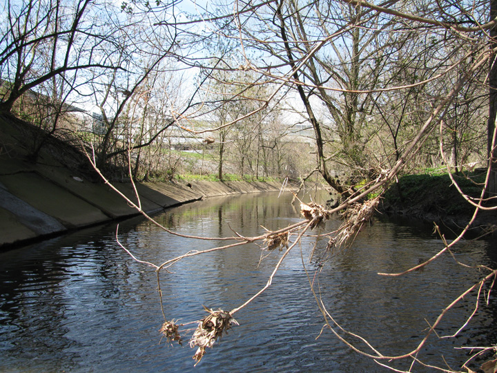 Field photo showing stream conditions at site GWYN-311-H-2011-1