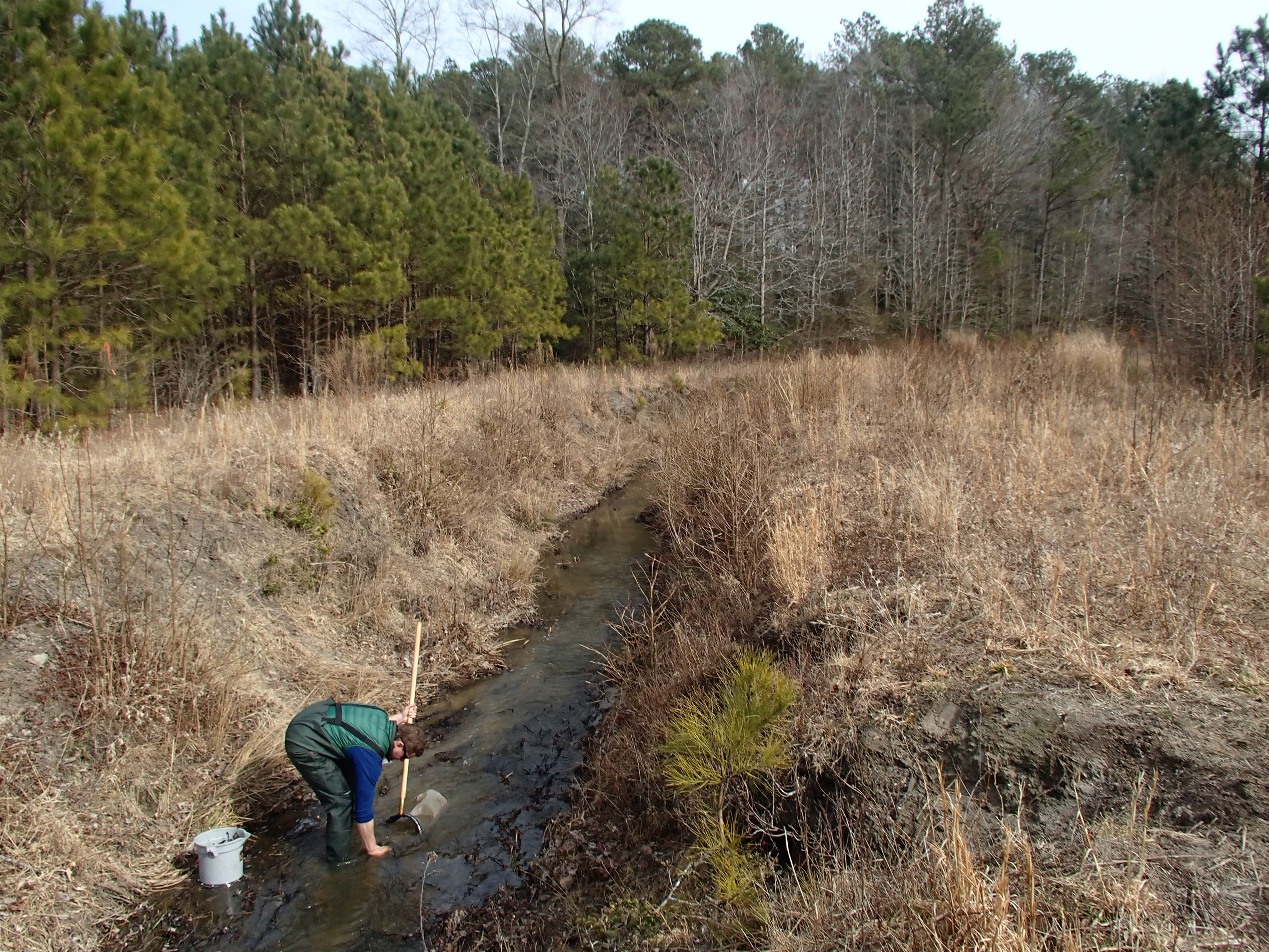 Field photo showing stream conditions at site ISLE-120-R-2015_Midpoint-looking-downstream