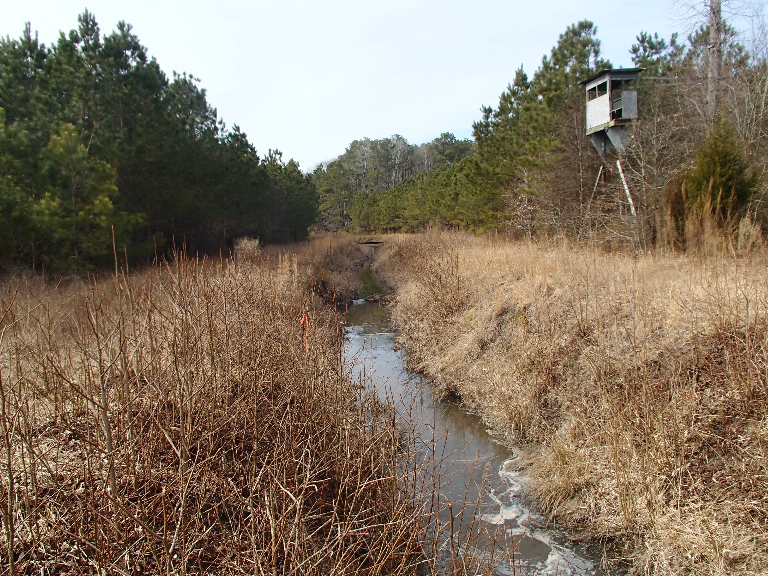 Field photo showing stream conditions at site ISLE-120-R-2015_Midpoint-looking-upstream