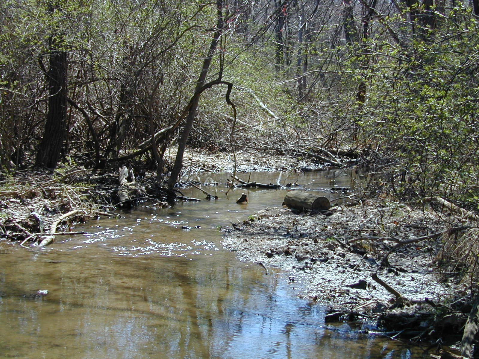 Field photo showing stream conditions at site JONE-101-R-2002-478