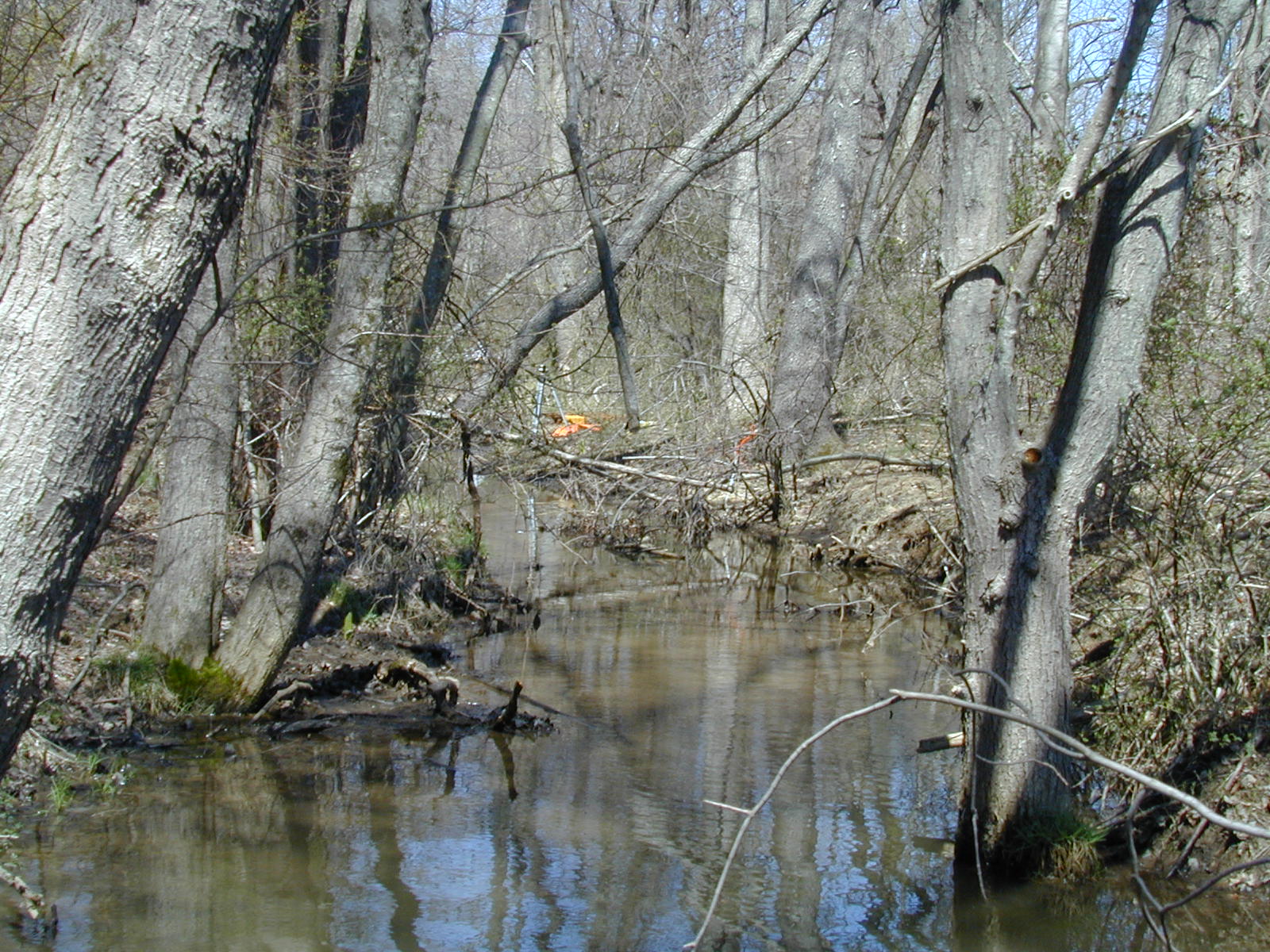 Field photo showing stream conditions at site JONE-101-R-2002-479