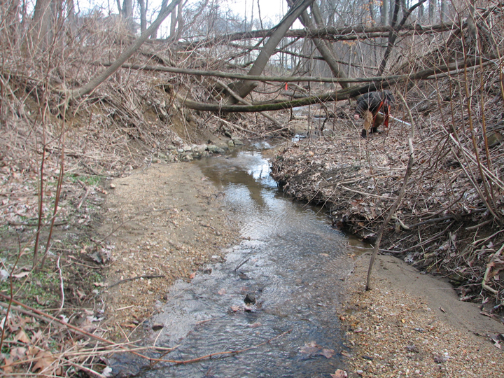 Field photo showing stream conditions at site JONE-101-R-2008-1