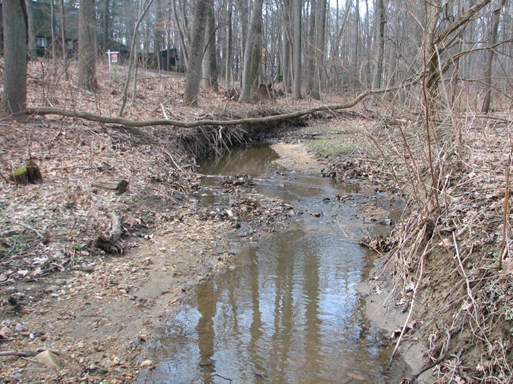 Field photo showing stream conditions at site JONE-101-R-2008-2