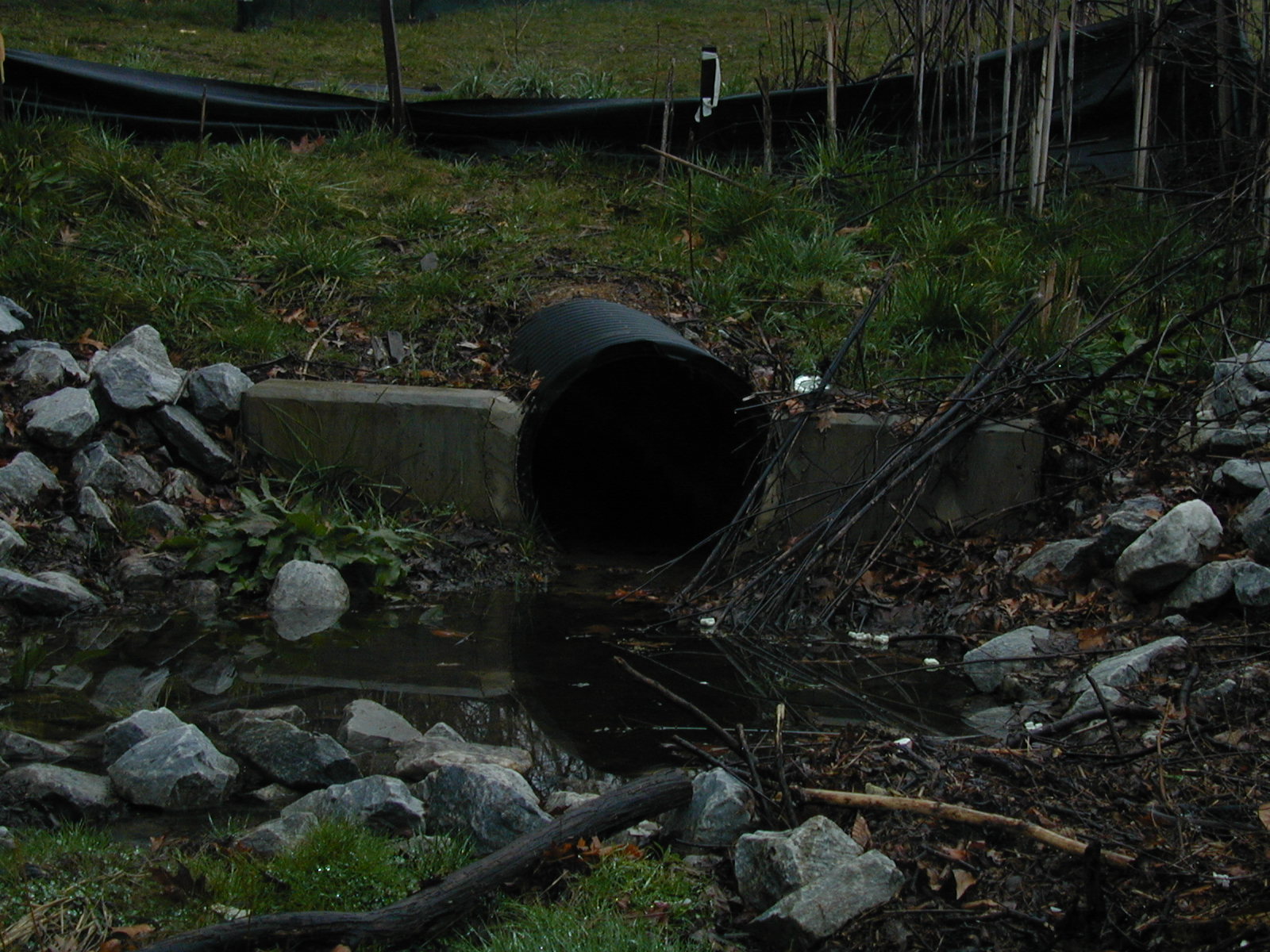 Field photo showing stream conditions at site JONE-102-R-2002-471