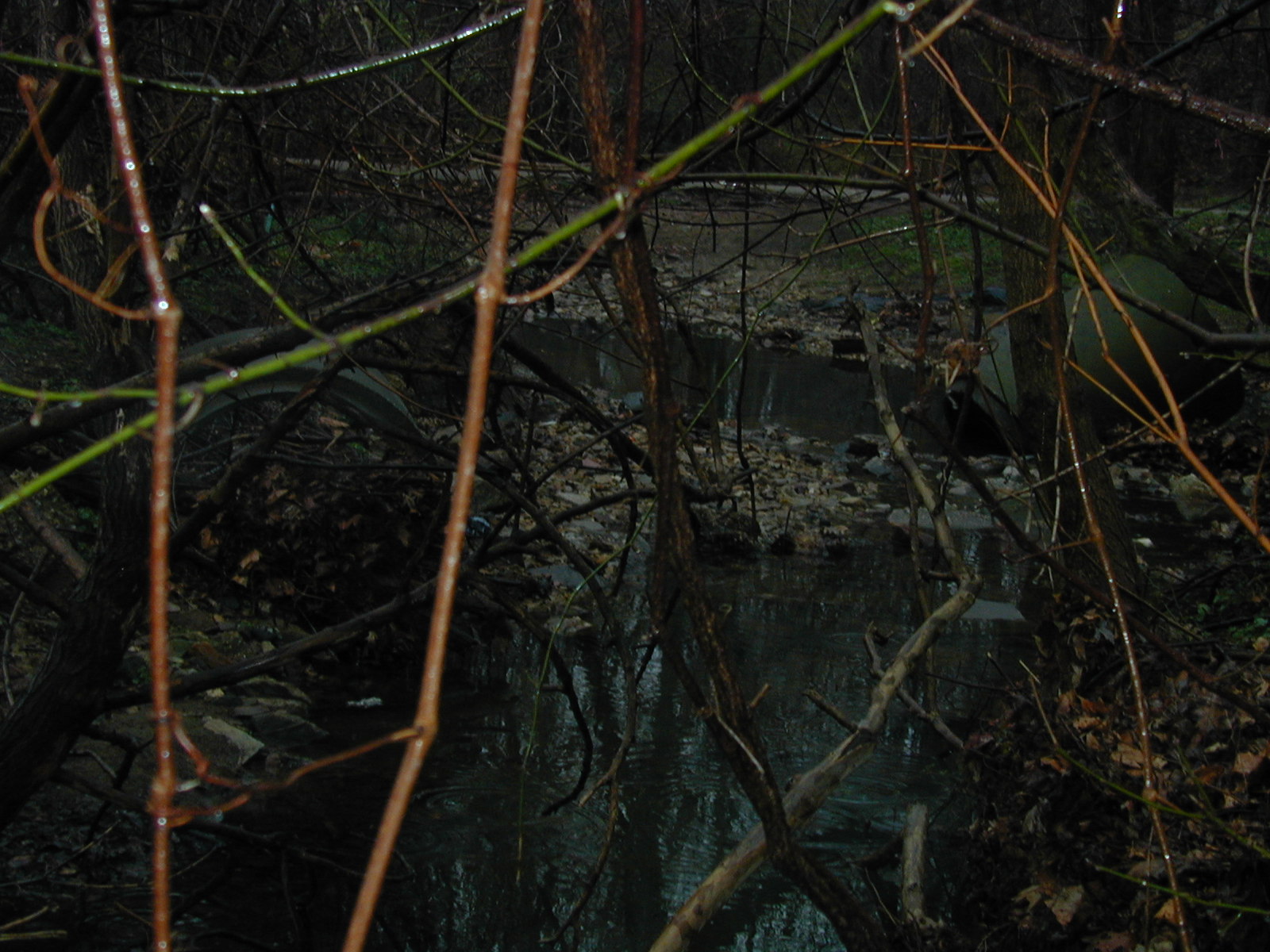 Field photo showing stream conditions at site JONE-102-R-2002-472