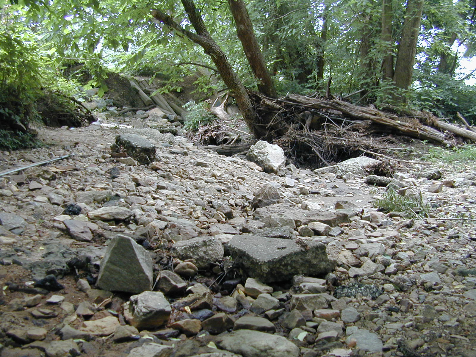 Field photo showing stream conditions at site JONE-102-R-2002-518