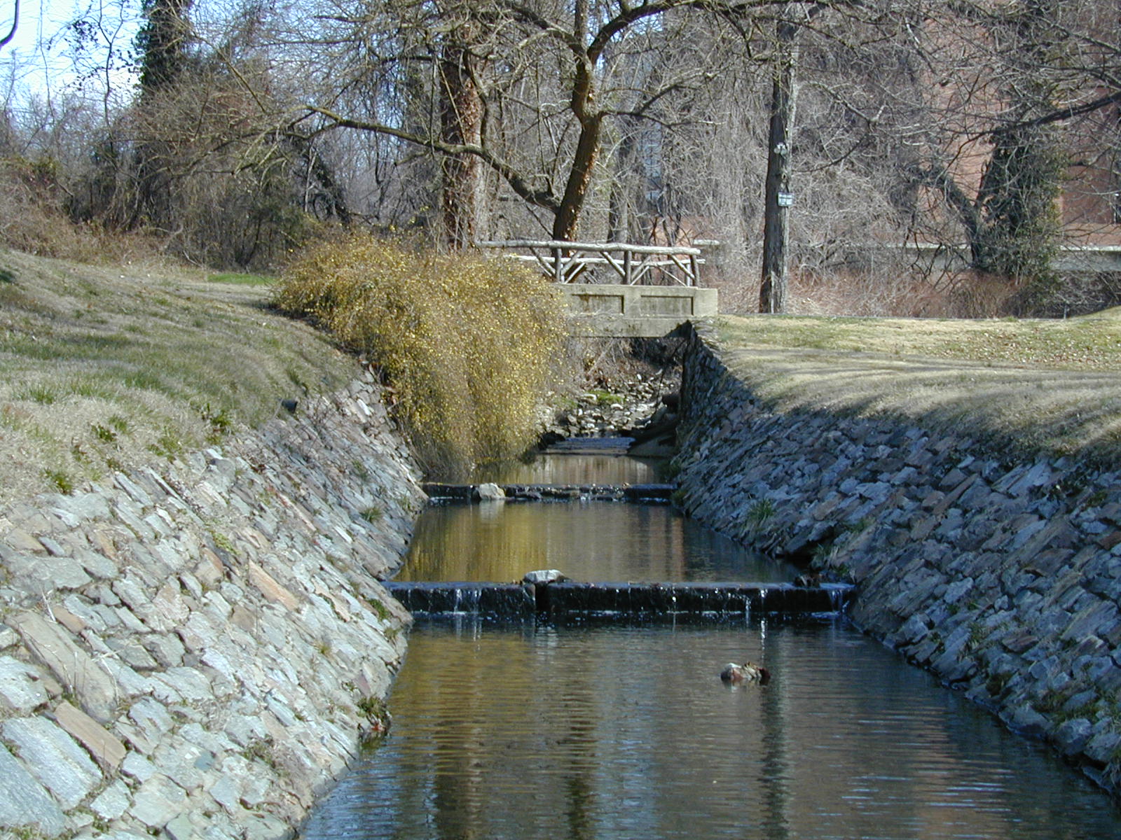 Field photo showing stream conditions at site JONE-105-R-2002-335