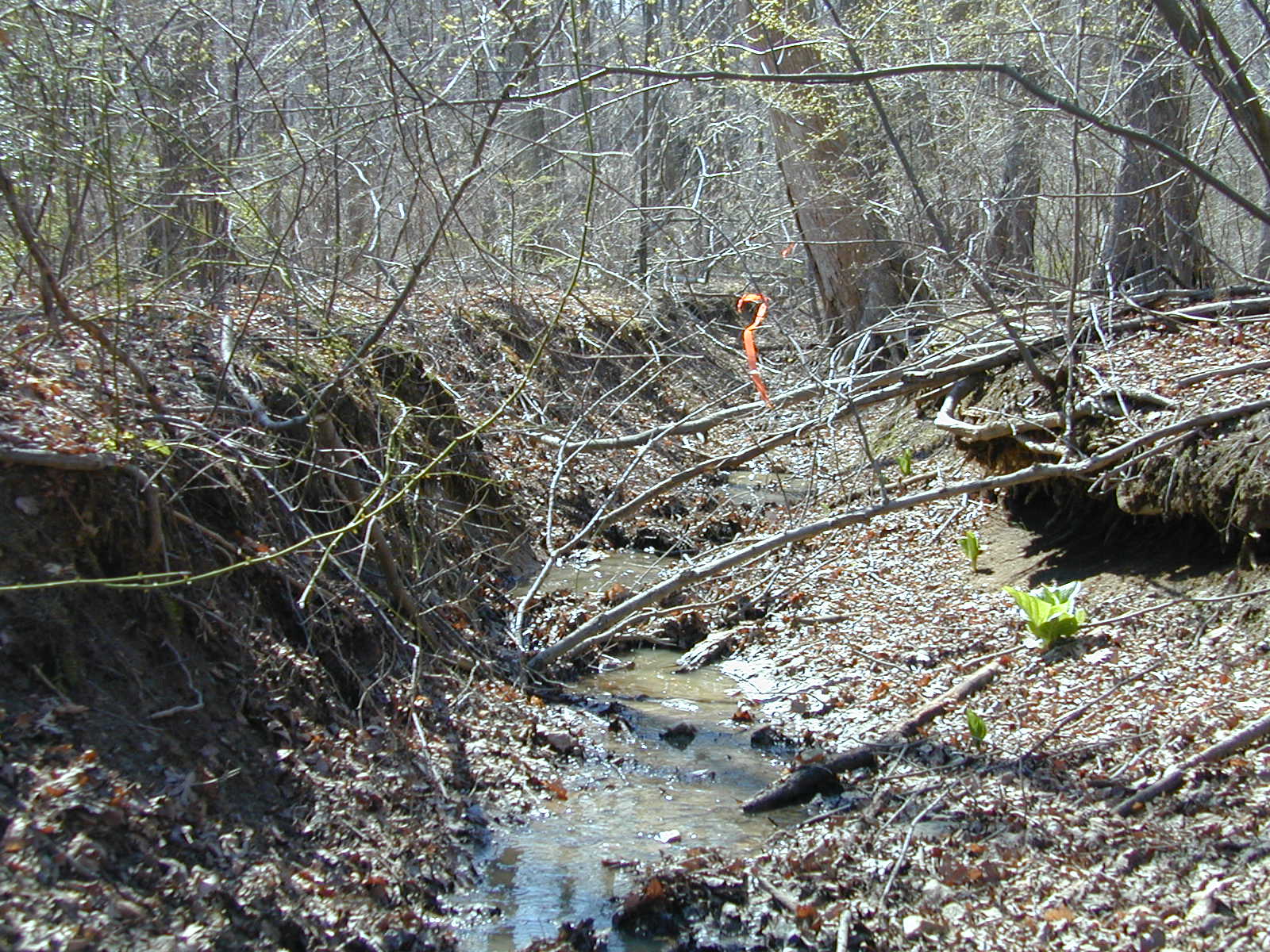 Field photo showing stream conditions at site JONE-107-R-2002-480