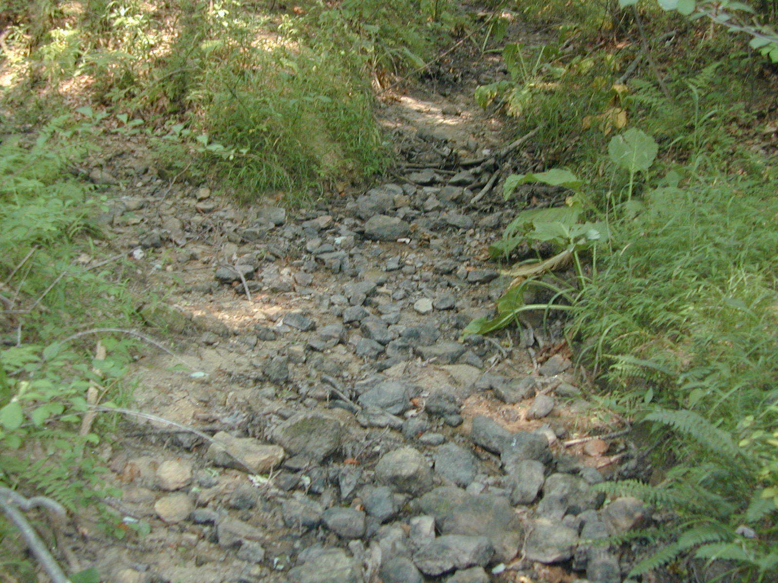 Field photo showing stream conditions at site JONE-107-R-2002-579