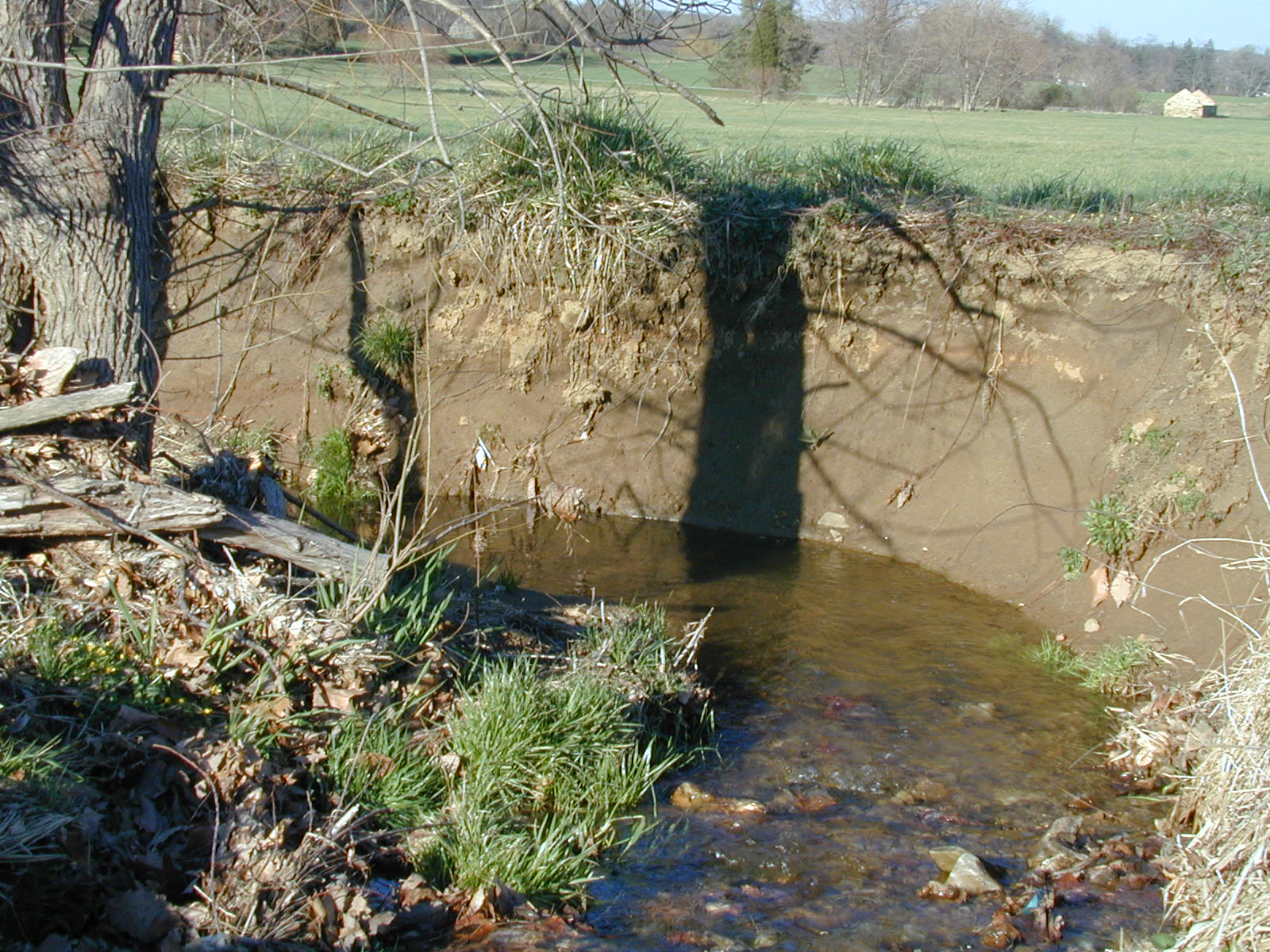 Field photo showing stream conditions at site JONE-109-R-2002-484