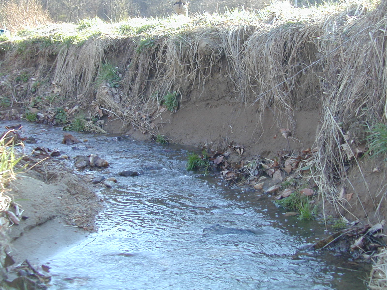 Field photo showing stream conditions at site JONE-109-R-2002-485