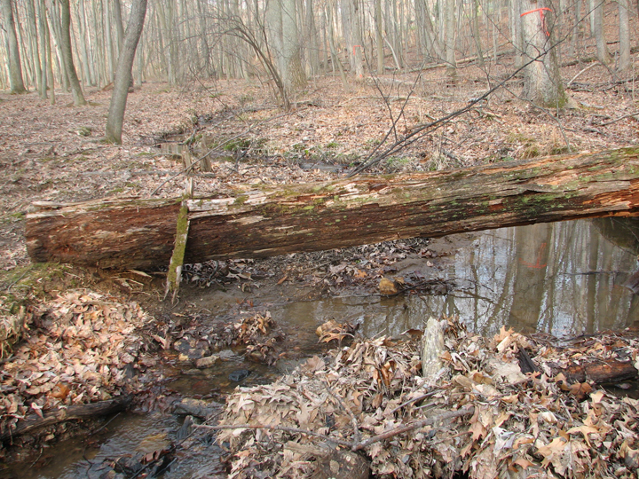 Field photo showing stream conditions at site JONE-109-R-2008-2