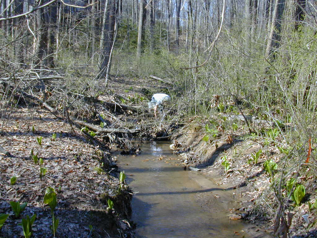 Field photo showing stream conditions at site JONE-109-S-2000-02
