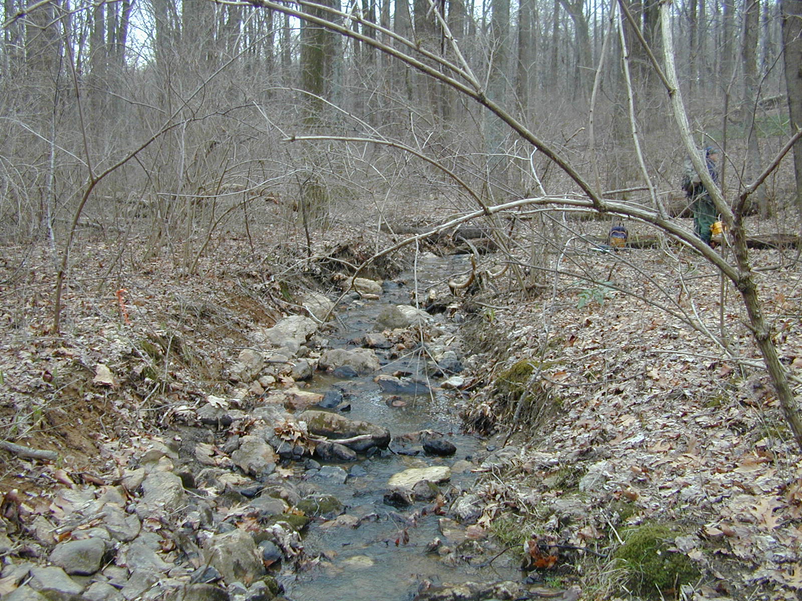 Field photo showing stream conditions at site JONE-109-S-2001-2