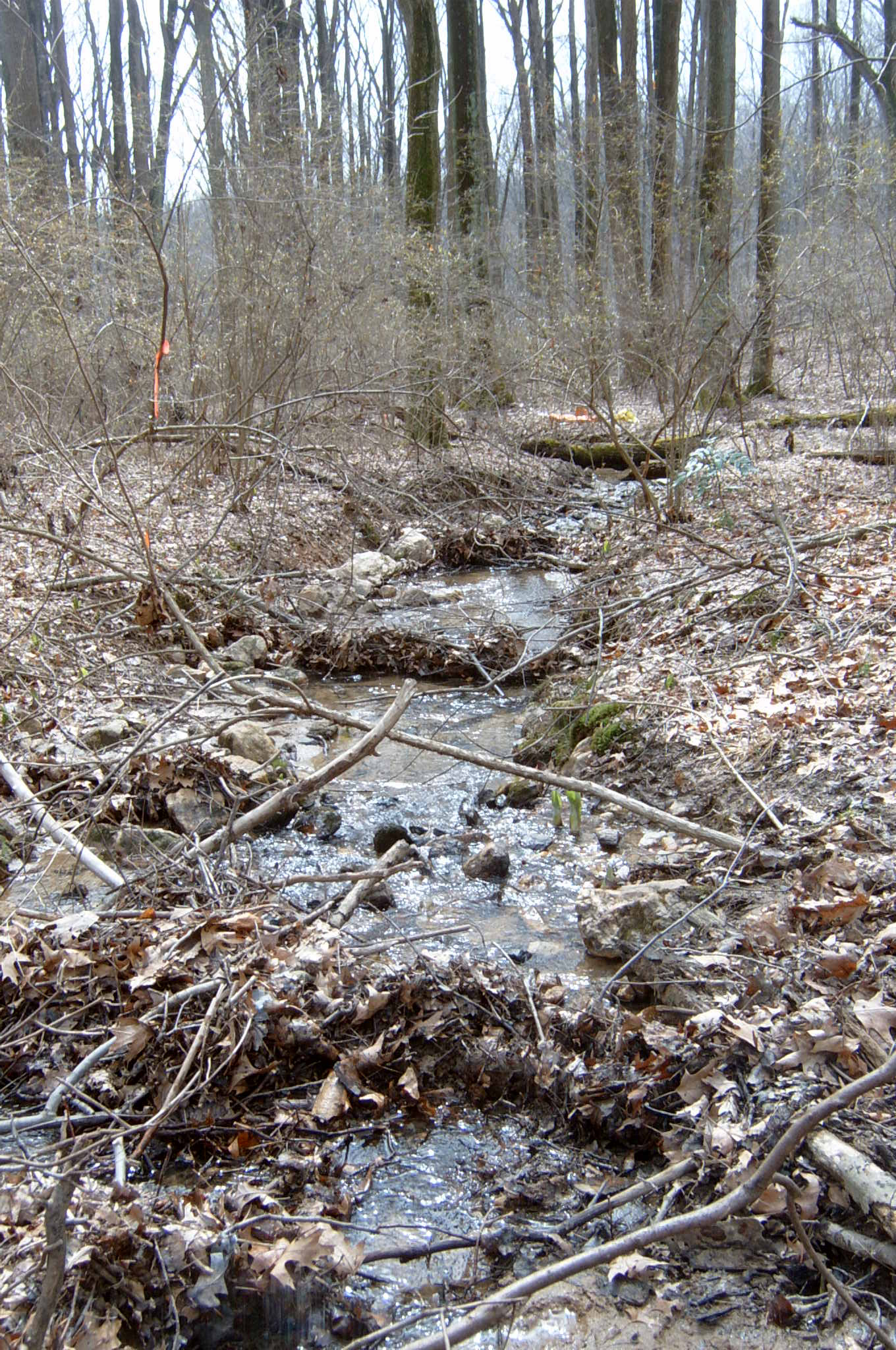 Field photo showing stream conditions at site JONE-109-S-2004-133