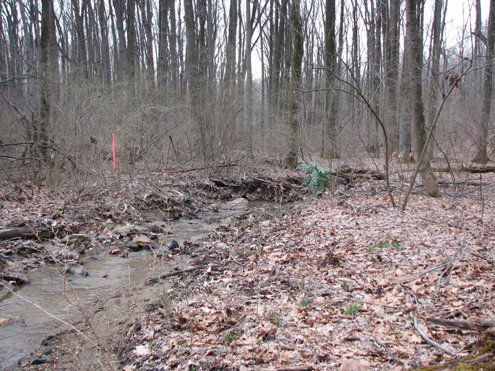 Field photo showing stream conditions at site JONE-109-S-2007-1