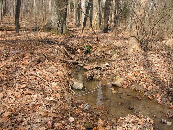 Field photo showing stream conditions at site JONE-109-S-2008-1