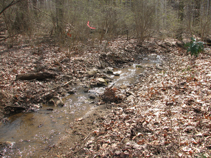 Field photo showing stream conditions at site JONE-109-S-2008-2