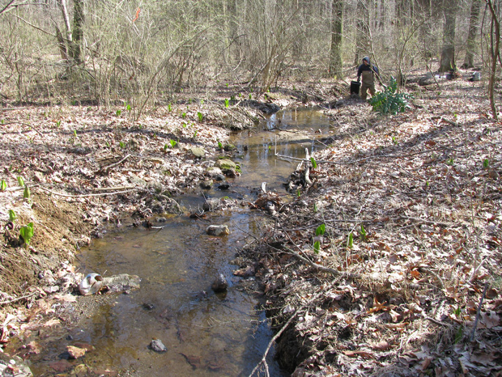 Field photo showing stream conditions at site JONE-109-S-2009-1