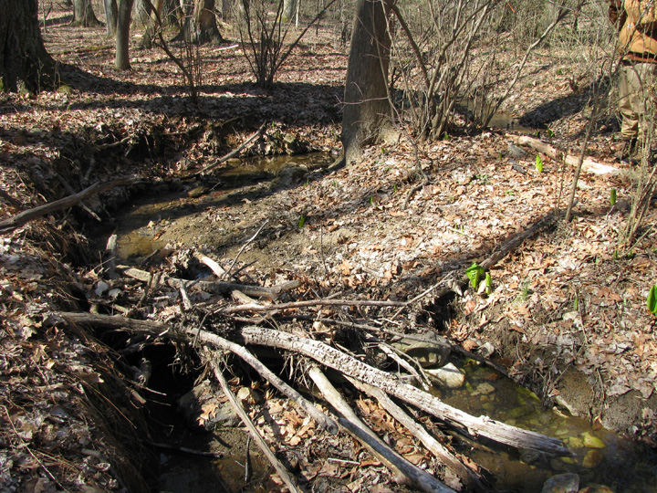 Field photo showing stream conditions at site JONE-109-S-2009-2