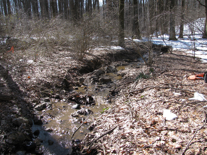 Field photo showing stream conditions at site JONE-109-S-2010-1