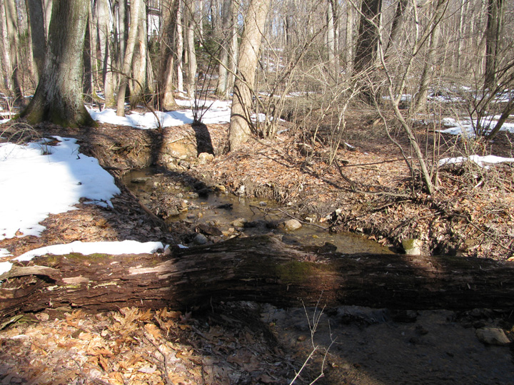 Field photo showing stream conditions at site JONE-109-S-2010-2